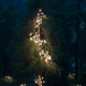Illustration for article titled Illuminated Lamps Cascade Up a Huge Swiss Pine Tree